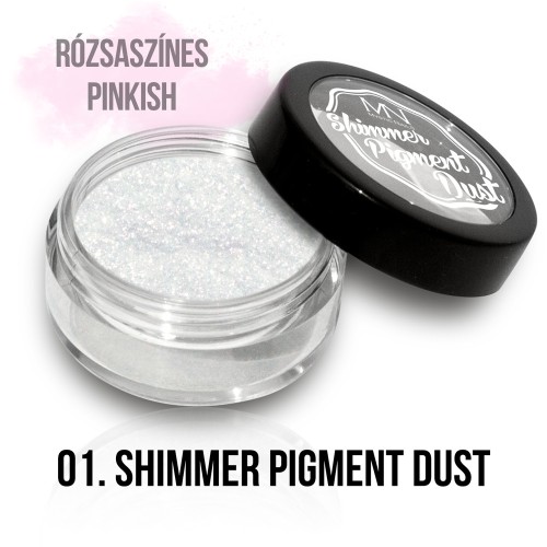 Polvere Pigmentato Shimmer  - 01 - 2g
