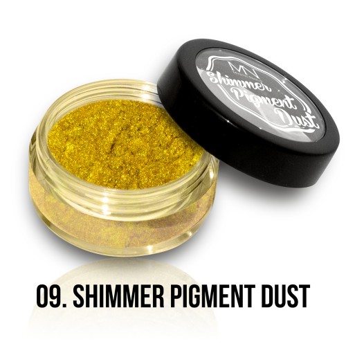 Polvere Pigmentato Shimmer - 09 - 2g