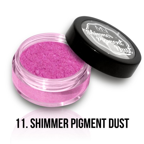 Polvere Pigmentato Shimmer - 11 - 2g