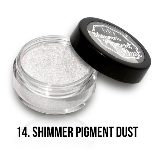 Polvere Pigmentato Shimmer - 14 - 2g