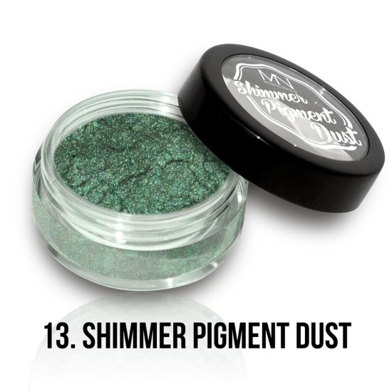 Polvere Pigmentato Shimmer - 13 - 2g